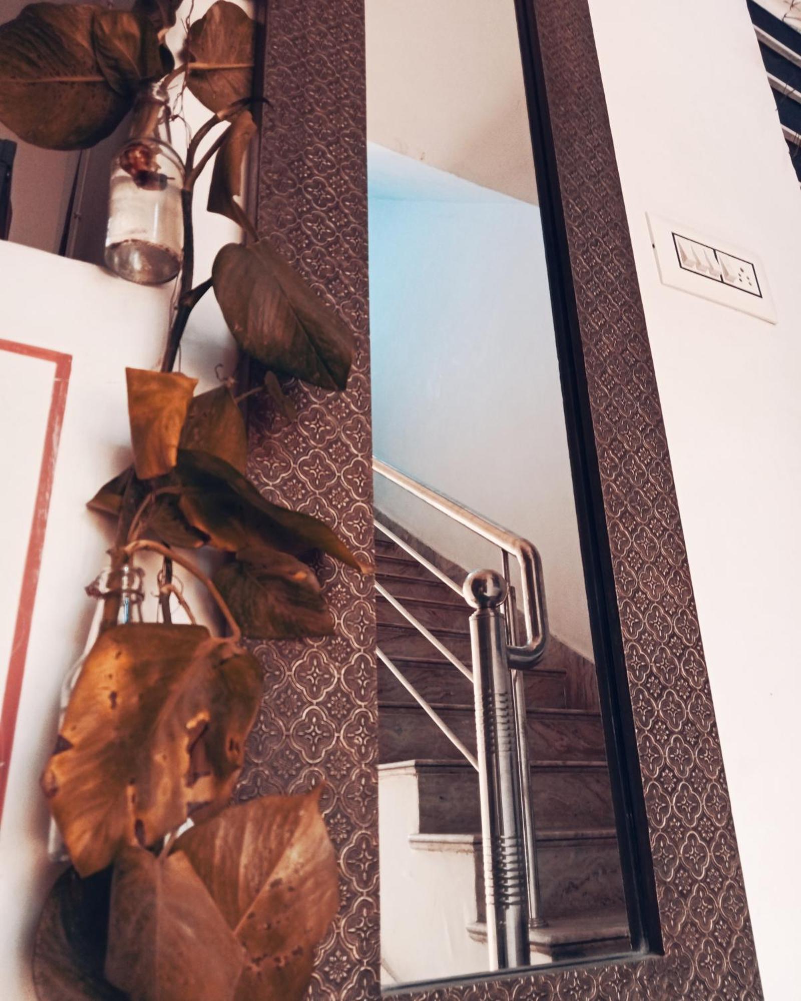 Cocoon Auberge Джайпур Екстериор снимка
